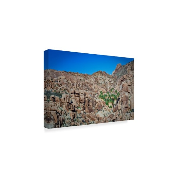 Janice Sullivan 'Desert Oasis Canyon' Canvas Art,16x24